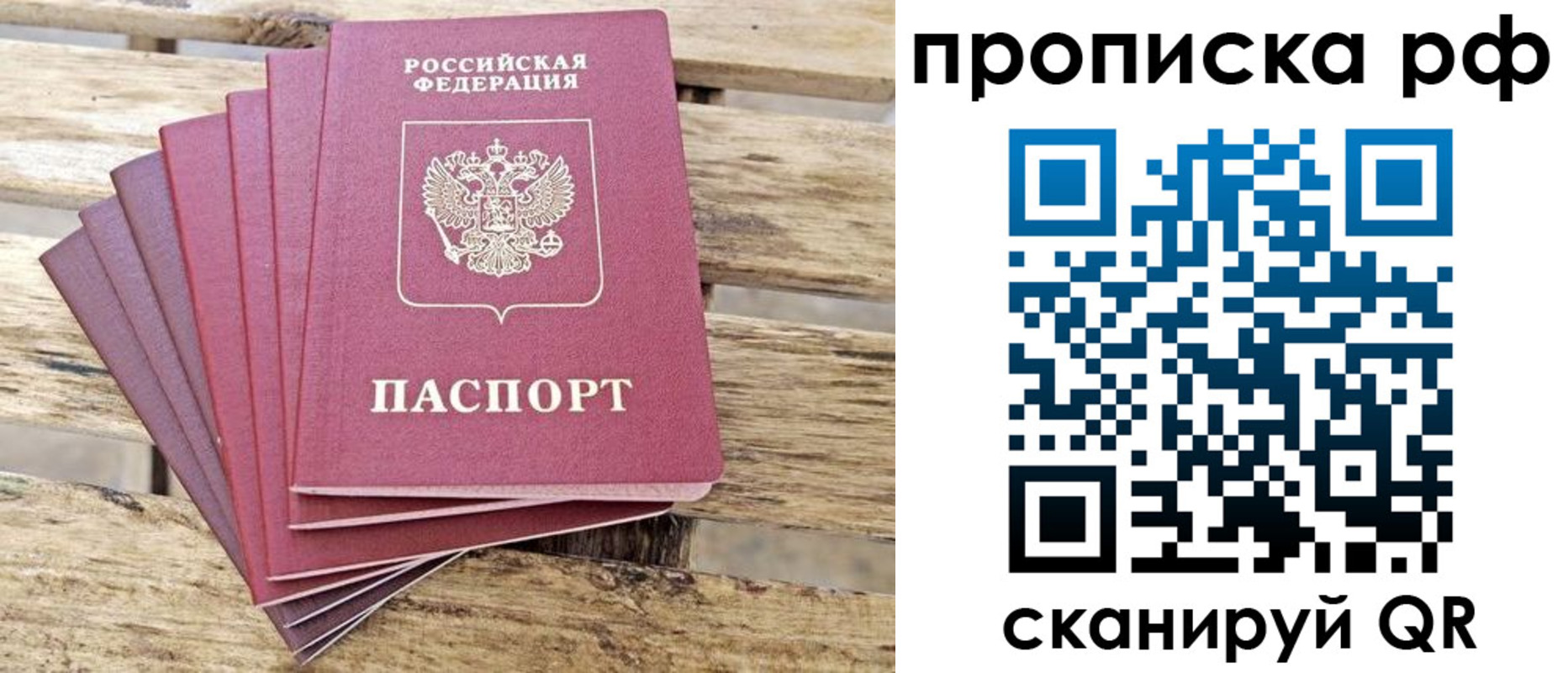 прописка гарантия в Новом Осколе